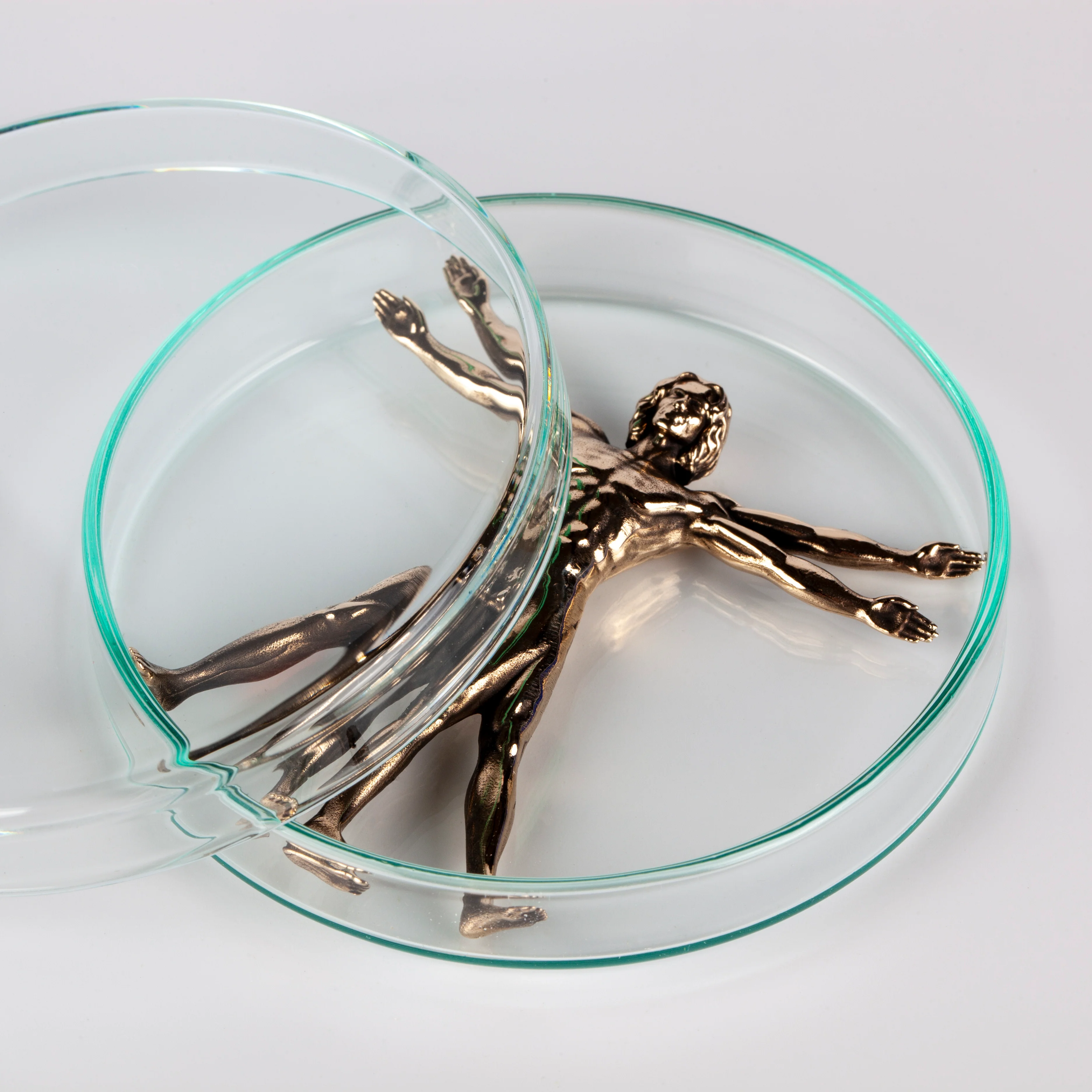 Vitruvian Man (Bronze) - Image 4